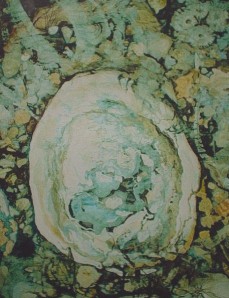 tidepoolmicronesia.jpg